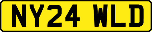 NY24WLD