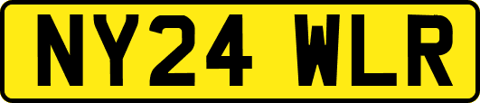 NY24WLR
