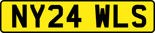 NY24WLS