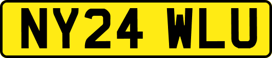 NY24WLU