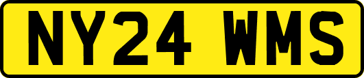 NY24WMS