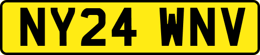 NY24WNV