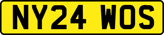NY24WOS