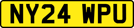 NY24WPU
