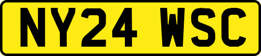 NY24WSC