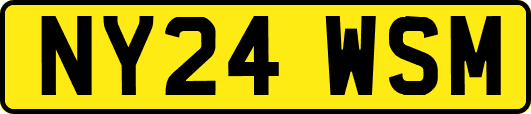 NY24WSM