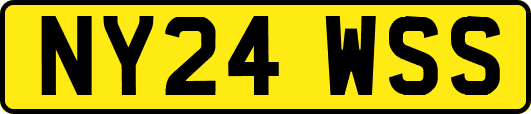 NY24WSS