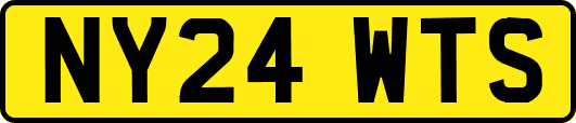 NY24WTS