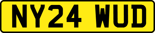 NY24WUD