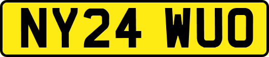NY24WUO