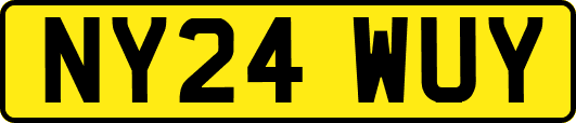 NY24WUY