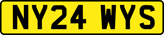 NY24WYS