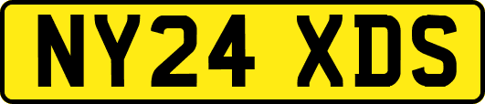 NY24XDS