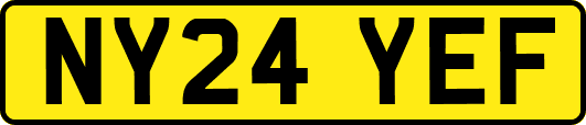 NY24YEF