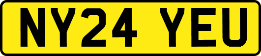 NY24YEU