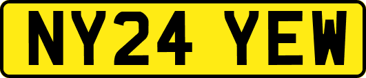 NY24YEW
