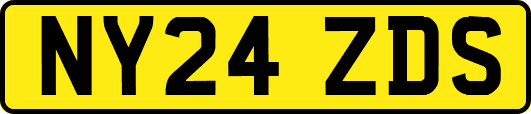 NY24ZDS