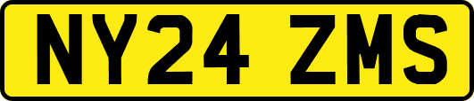 NY24ZMS