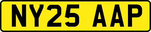NY25AAP