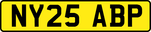 NY25ABP