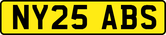 NY25ABS