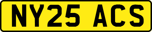 NY25ACS