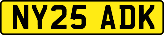 NY25ADK