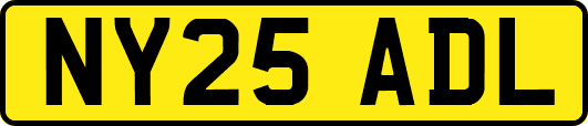 NY25ADL
