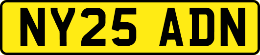 NY25ADN