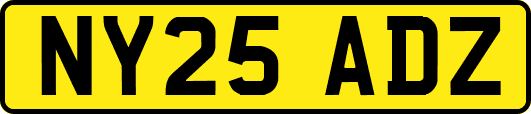 NY25ADZ
