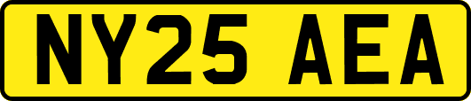 NY25AEA