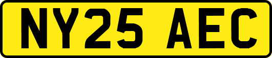 NY25AEC