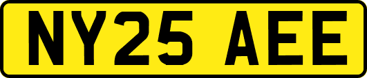 NY25AEE
