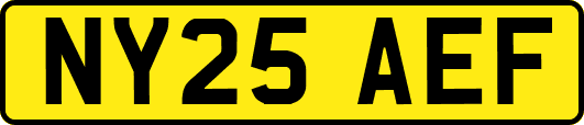 NY25AEF
