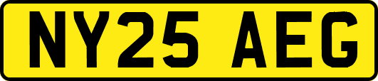 NY25AEG