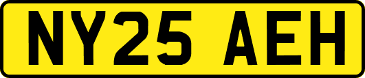 NY25AEH