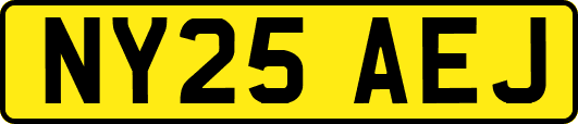 NY25AEJ