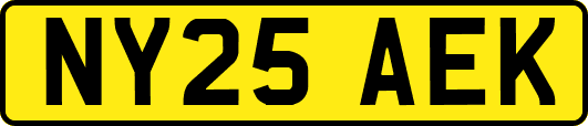 NY25AEK