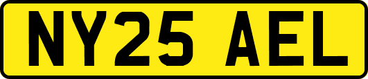NY25AEL