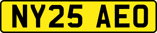 NY25AEO