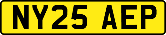 NY25AEP