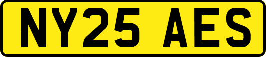 NY25AES