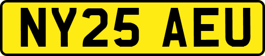 NY25AEU