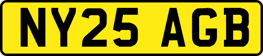 NY25AGB