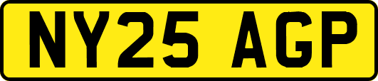 NY25AGP