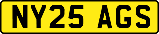 NY25AGS