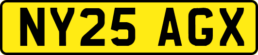 NY25AGX