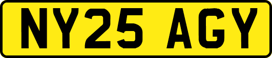 NY25AGY
