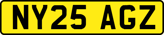 NY25AGZ