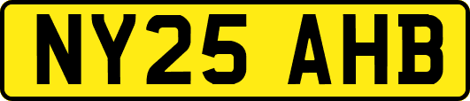 NY25AHB